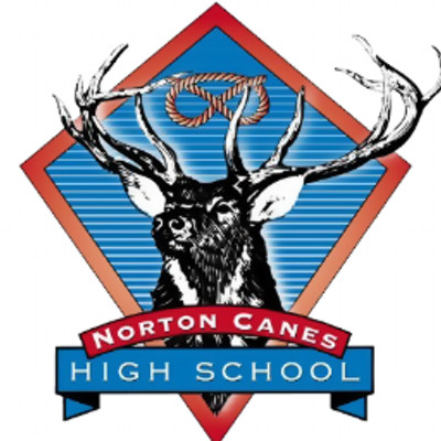 Norton Canes High School
