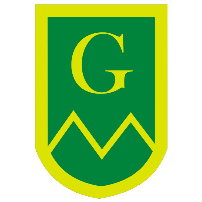 Gunter Primary School Erdington
