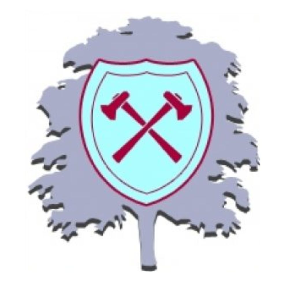 Ryders Hayes School