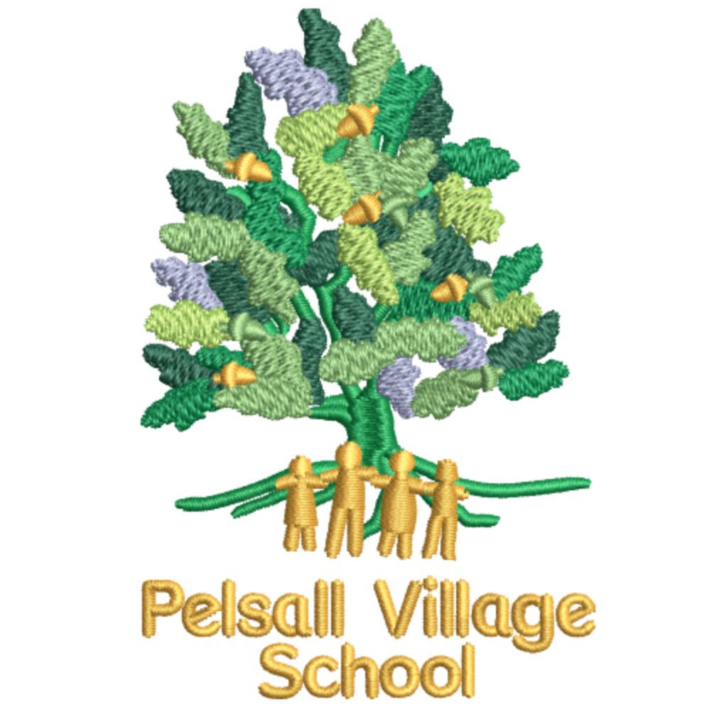 Pelsall Village Primary School